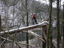 Sturmschadenbeseitigung